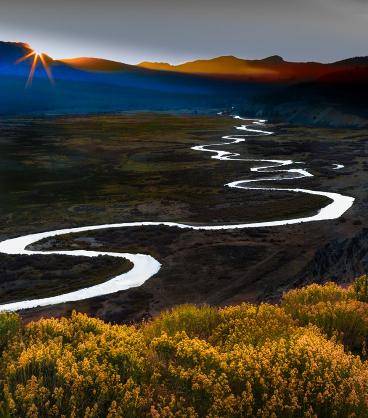 D16E6165-30AA-4E91-8B34-C2B936FC9003